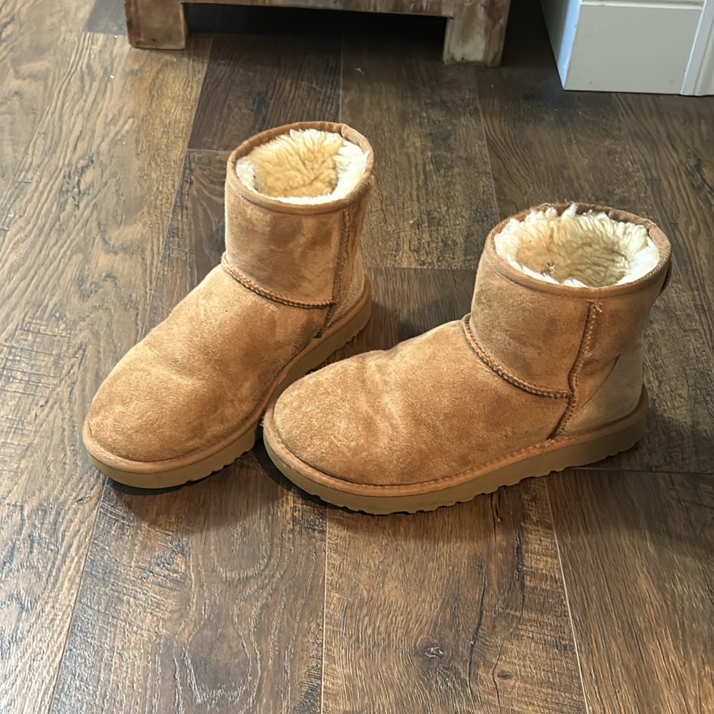 Ugg Chesnuts
